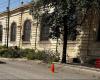 Coordination of Trees and Urban Greenery of Lecce: “New felling of trees in Viale De Pietro without there being an actual risk of falling”