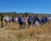 Visit to the ancient grain collection fields at the Agrigento Archaeological Park