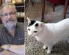 Paolo Carù is dead, his cat Luigi is left alone: ​​appeal to find a new family for the king of vinyl’s cat