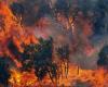 The Campania Region launches the plan against forest fires