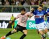 Palermo, not only the A on Brunori: also Pisa on the trail of the Italian-Brazilian