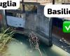ViviWebTv – Taranto | Water crisis in the Tarantino area: what happens to the San Marco distributor?