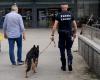 Legnano: Drugs found in the city center and at the station