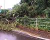 Storm hits Lower Varesotto, flooded roads and underpasses, fallen trees – ilBustese.it