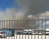 Vigne Nuove, huge fire in the green area of ​​Rina de Liguoro (PHOTO-VIDEO)