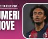 Milan, listen to Vieri: “Zirkzee is not a striker, but when he scores …”