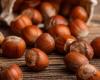 Novi renews the agreement with Coldiretti: it will source only from hazelnut producers in the Piedmont region – Turin News
