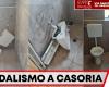 Casoria – Vandal attack in Michelangelo Park: the new bathrooms just inaugurated vandalized