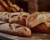 Bread and bakers of Italy 2025: Gambero Rosso rewards the best professionals from Abruzzo and Molise – Amolivenews
