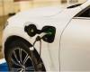 Electric cars, the serious mistake of politics: the cry for help arrives