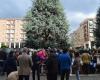 environmentalists and residents take to the streets (Europe) against the felling of monumental plants – Targatocn.it