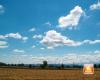 today sunny and hot, Wednesday 19th and Thursday 20th scattered clouds » ILMETEO.it