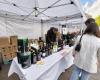 Twenty wineries, 10 farms and a brewery: the Lake Como Wine Festival returns to the center