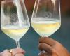 Lazio food and wine relaunches tourism in Fiumicino: great success for “La Via del Gusto”