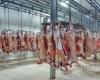 Pork meat prices rise again in May