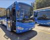 New extra-urban buses between Florence and Arezzo. And At aims to renew half the fleet by 2025