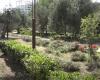Bari, Bonomo park opens: 20 thousand square meters with 250 trees
