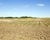 Climate, in Puglia 57% of the surface area is at risk of desertification