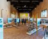 Faenza towards the Tour de France: new appointment at Palazzo del Podestà with the docufilm “La Grand Depart”