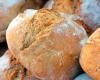 there are two bakeries in Reggio Calabria present in the itinerary of taste