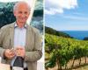 «Wine that tastes of the sea» Frescobaldi, the island of Gorgona and the new Il Tirreno harvest