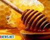 “in Basilicata this year honey production is close to zero”. This is the latest news