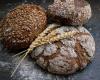 where you can find the best bread according to the Gambero Rosso Il Tirreno guide