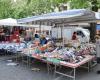 Bisceglie – Street vendors complain about inflexibility in controls: “Ok respect for the rules, but this is obstinacy”