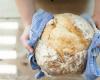 Bread and bakers of Italy 2025, what are the best bakeries in Pavia and its province?
