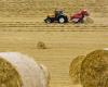 Sardinia: hundreds of tractors and over two thousand farmers in the streets due to the drought