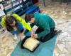 Livorno, over 1400 students trained in first aid management – Livornopress