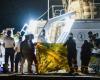Shipwreck off the coast of Calabria, six bodies in Locri, Schlein: ignoble silence from the government