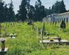 Cremona Sera – Portesani: I see terrible images of the conditions in which the council leaves the Cremona cemetery. Our immediate interventions are needed