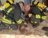 dog saved by firefighters. VIDEO Reggionline -Telereggio – Latest news Reggio Emilia |