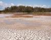 There is a drought alarm in Calabria, Sorical: “It will be a difficult summer”