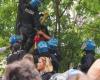 The video of the protests at the Don Bosco park in Bologna: activists on the trees being cut down