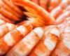 Shrimps recalled from the market due to contamination, risk of severe allergic reaction | Here are the offending products