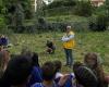 Sanremo, the third planting by the Lions Club in the primary school garden in via Panizzi – Sanremonews.it