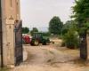 Vicenza, runs over his wife with the tractor in the courtyard of the family farm: the old woman died shortly after