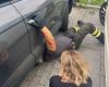 Enpa Treviso and Fire Brigade save kitten from car engine