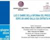 BRINDISI.LIGHTS AND SHADOWS OF THE CIVIL TRIAL REFORM AFTER ONE YEAR FROM ITS ENTRY INTO FORCE Conference of 06.21.2024 4.00pm – 7.00pm