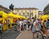 Turin and its province, the summer opening hours for the Sunday markets of Campagna Amica – Torino Oggi begin