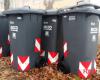 Disservice of Alea Ambiente in the collection of unsorted waste :: Report in Forlì