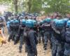 Bologna, clashes at Don Bosco park between police and environmentalists: 4 activists arrested