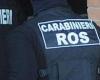 ‘Ndrangheta and murders: 14 arrests, the Abruzzo police also in action – Pescara