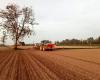 CIA – Italian Farmers – Cia Ferrara: changes to agricultural vehicle insurance welcome