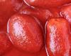 Processing tomato, there is the framework agreement for the Center and South – Economy and politics