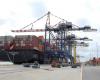 Grimaldi: “No disengagement in the containers at the TDT Terminal in Livorno”