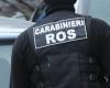 BRANDIZZO-RONDISSONE – Operation by the Catanzaro Carabinieri against the ‘Ndrangheta: 14 arrests