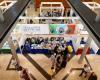 NapoliCittàLibro: are we ready for a big book fair in the South?